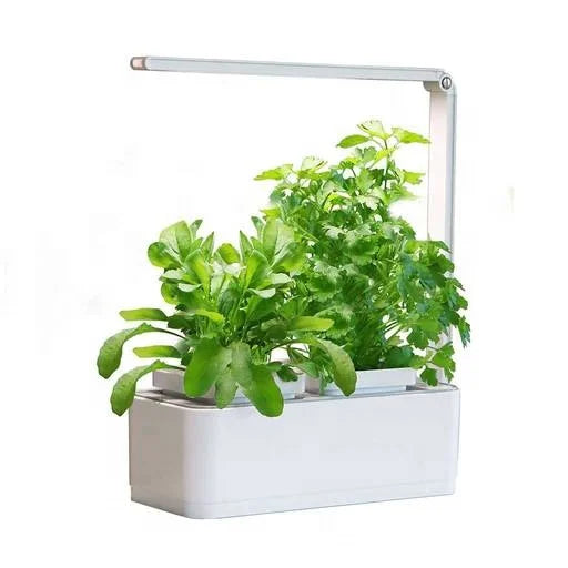 Hydroponic Plant Growing System
