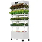 Hydroponic indoor grow system